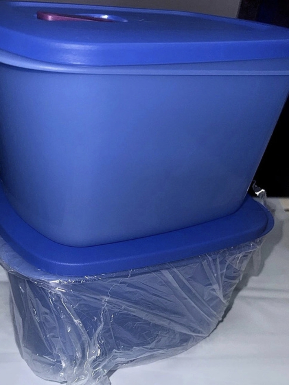 Tupperware Modular Mates Rectangular Container Blue